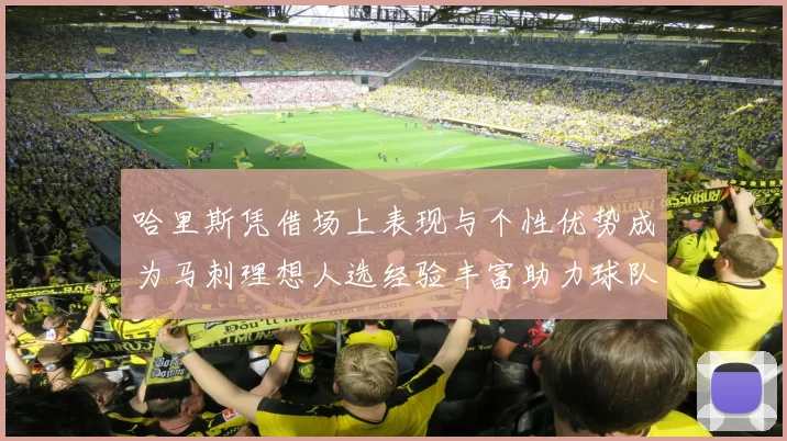 哈里斯凭借场上表现与个性优势成为马刺理想人选经验丰富助力球队发展